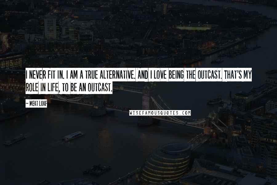 Meat Loaf Quotes: I never fit in. I am a true alternative. And I love being the outcast. That's my role in life, to be an outcast.