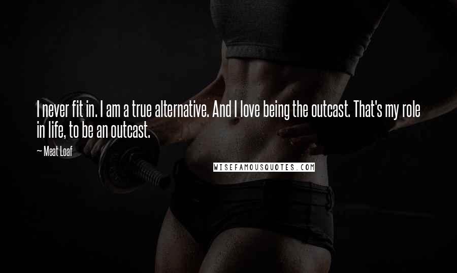 Meat Loaf Quotes: I never fit in. I am a true alternative. And I love being the outcast. That's my role in life, to be an outcast.