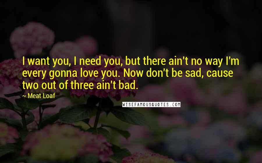 Meat Loaf Quotes: I want you, I need you, but there ain't no way I'm every gonna love you. Now don't be sad, cause two out of three ain't bad.