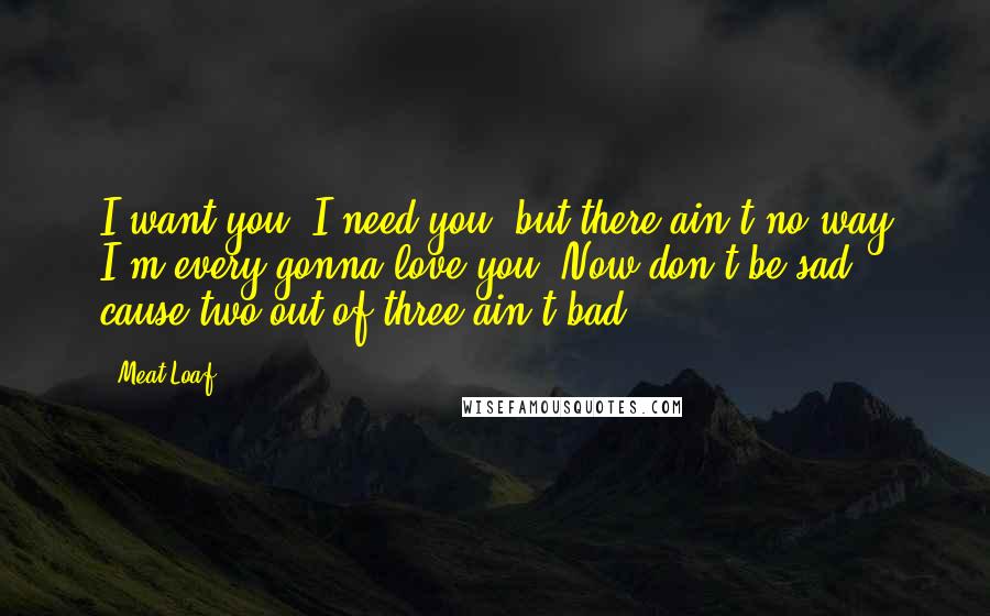 Meat Loaf Quotes: I want you, I need you, but there ain't no way I'm every gonna love you. Now don't be sad, cause two out of three ain't bad.