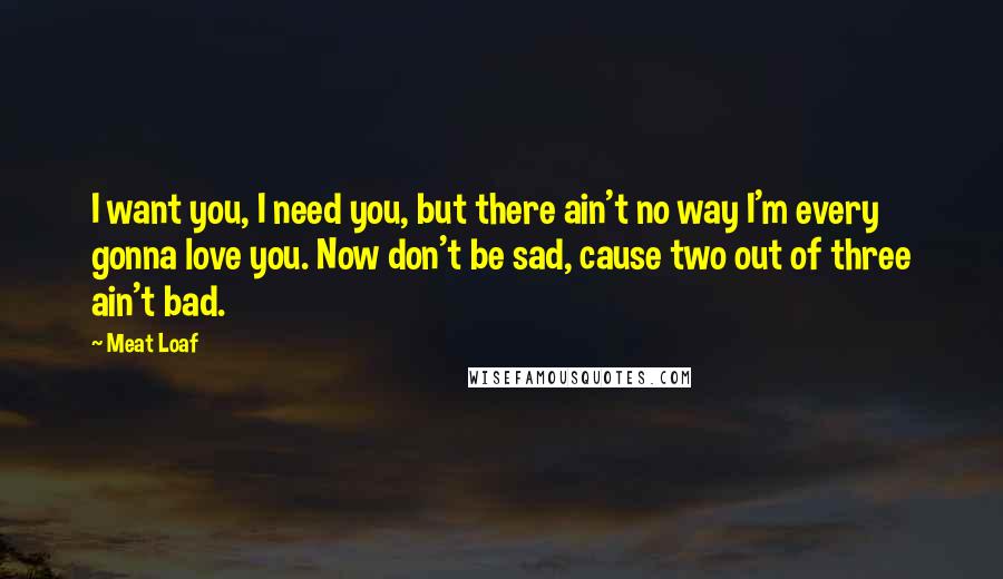 Meat Loaf Quotes: I want you, I need you, but there ain't no way I'm every gonna love you. Now don't be sad, cause two out of three ain't bad.