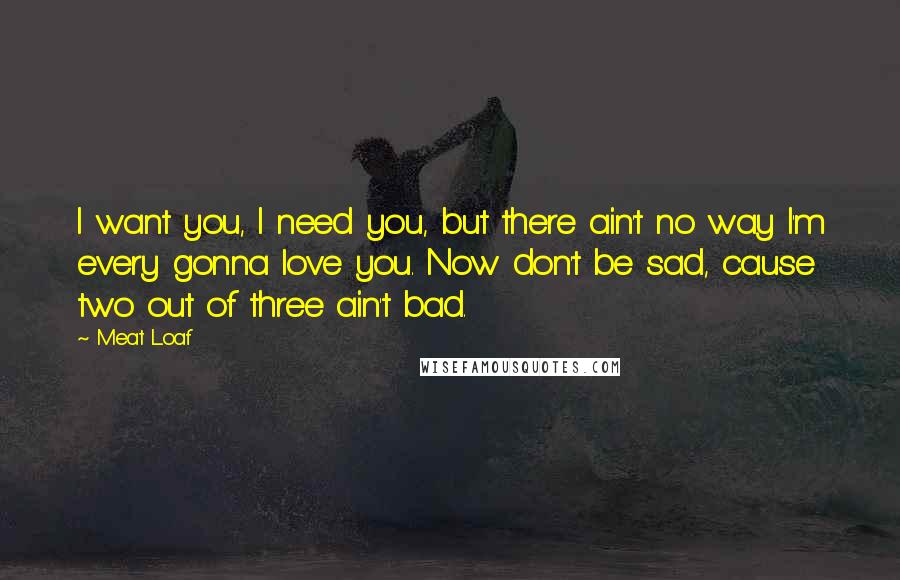 Meat Loaf Quotes: I want you, I need you, but there ain't no way I'm every gonna love you. Now don't be sad, cause two out of three ain't bad.