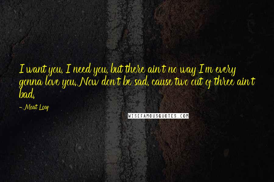 Meat Loaf Quotes: I want you, I need you, but there ain't no way I'm every gonna love you. Now don't be sad, cause two out of three ain't bad.