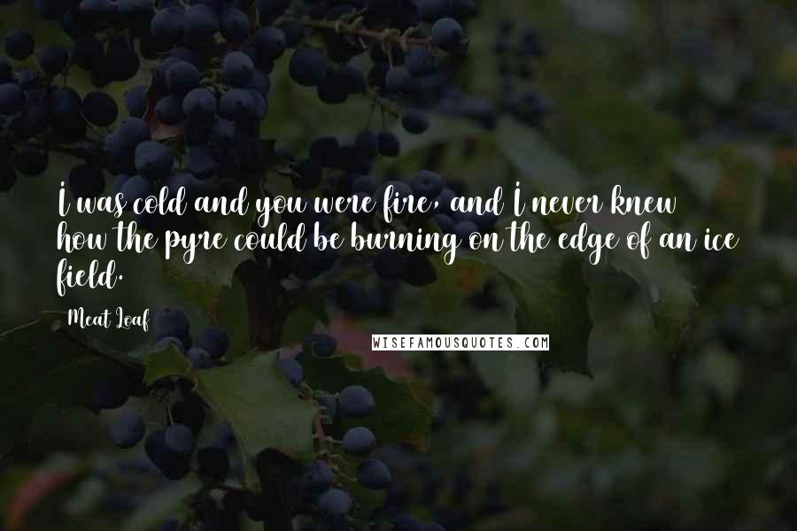 Meat Loaf Quotes: I was cold and you were fire, and I never knew how the pyre could be burning on the edge of an ice field.