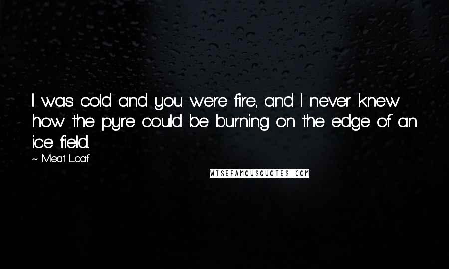 Meat Loaf Quotes: I was cold and you were fire, and I never knew how the pyre could be burning on the edge of an ice field.