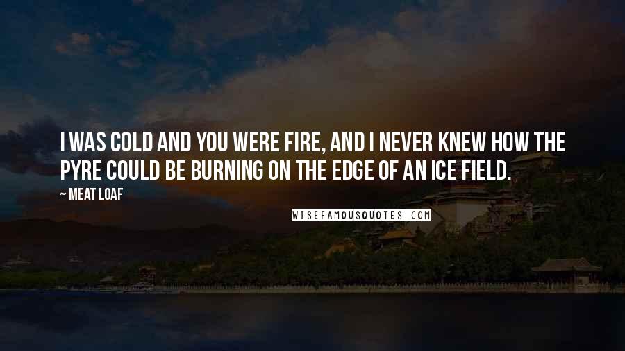 Meat Loaf Quotes: I was cold and you were fire, and I never knew how the pyre could be burning on the edge of an ice field.