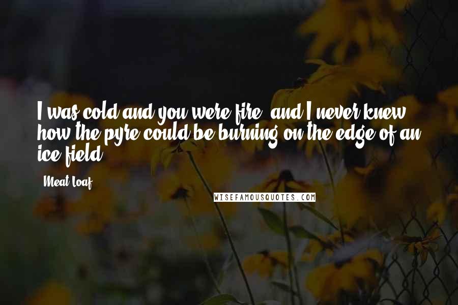 Meat Loaf Quotes: I was cold and you were fire, and I never knew how the pyre could be burning on the edge of an ice field.