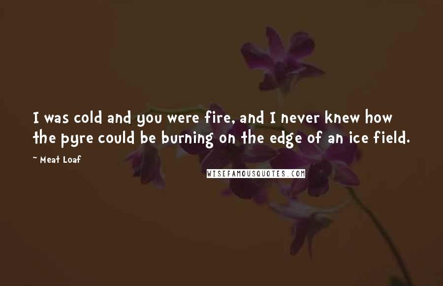 Meat Loaf Quotes: I was cold and you were fire, and I never knew how the pyre could be burning on the edge of an ice field.