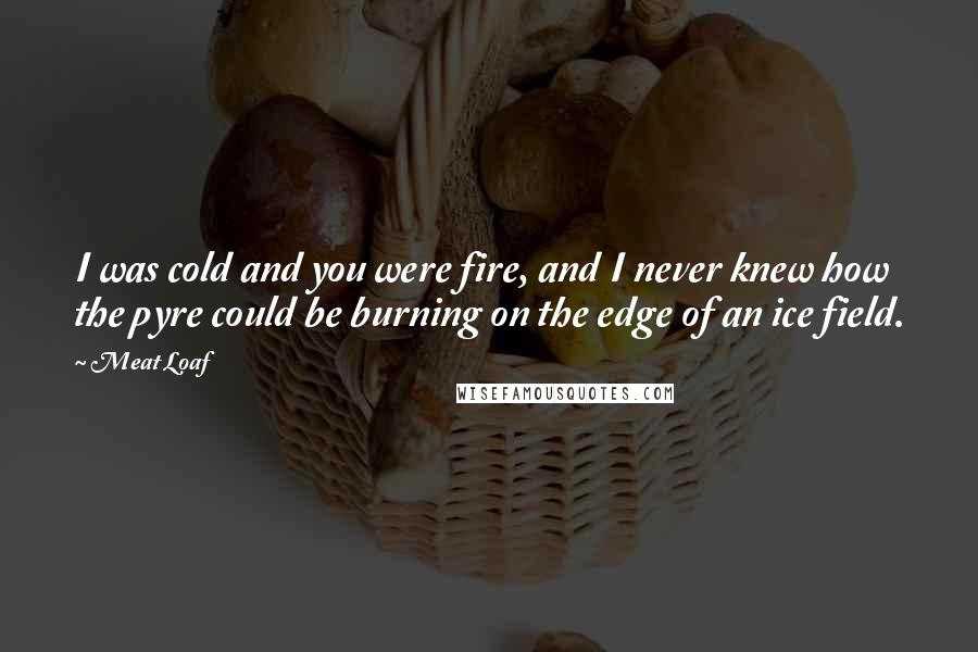 Meat Loaf Quotes: I was cold and you were fire, and I never knew how the pyre could be burning on the edge of an ice field.
