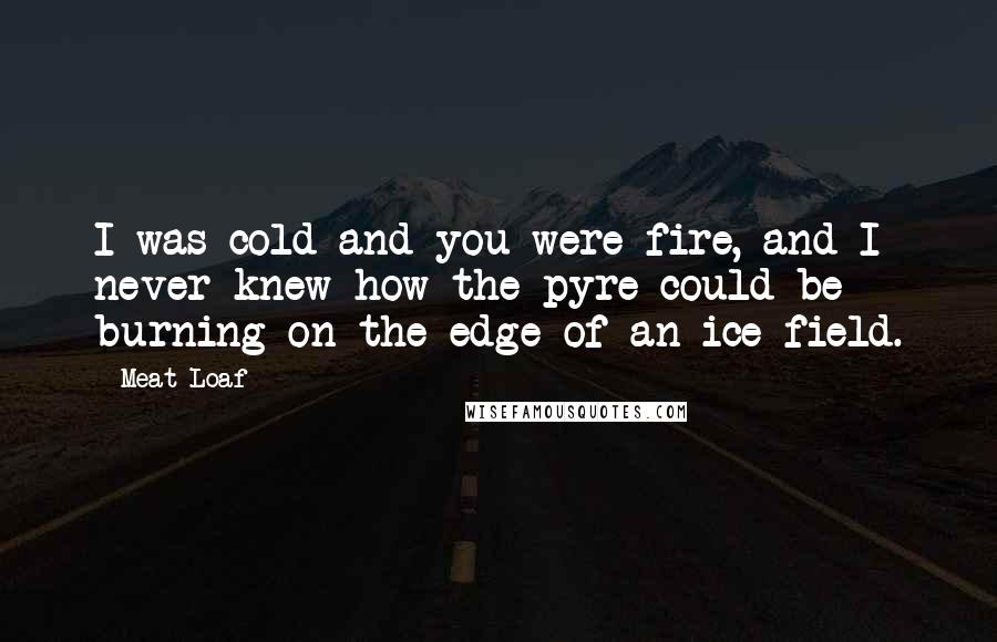 Meat Loaf Quotes: I was cold and you were fire, and I never knew how the pyre could be burning on the edge of an ice field.