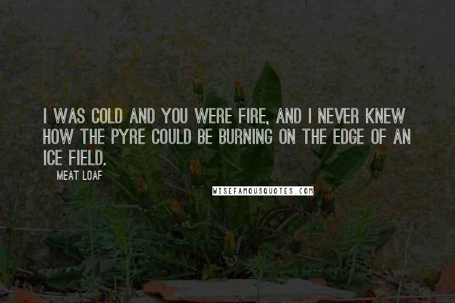 Meat Loaf Quotes: I was cold and you were fire, and I never knew how the pyre could be burning on the edge of an ice field.