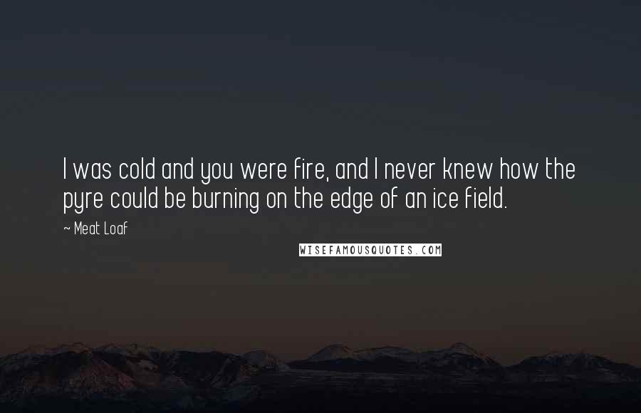 Meat Loaf Quotes: I was cold and you were fire, and I never knew how the pyre could be burning on the edge of an ice field.