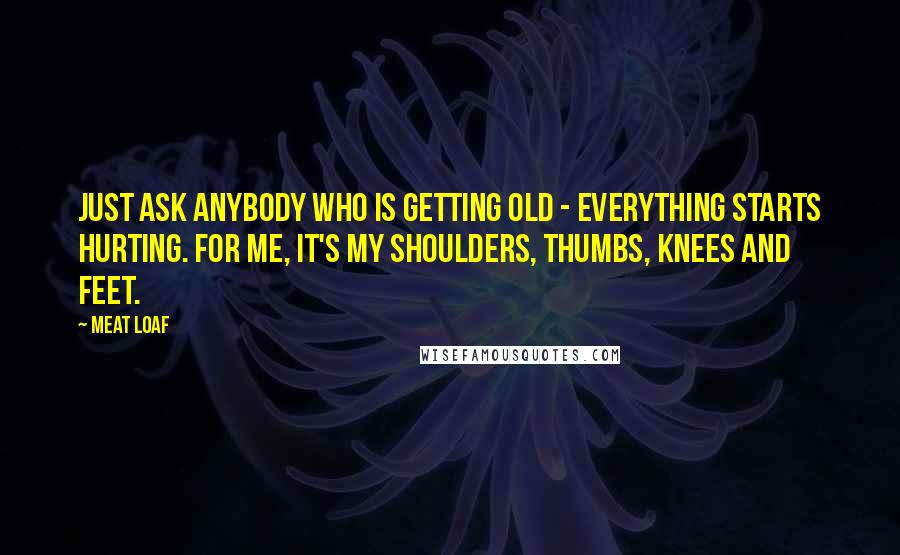 Meat Loaf Quotes: Just ask anybody who is getting old - everything starts hurting. For me, it's my shoulders, thumbs, knees and feet.
