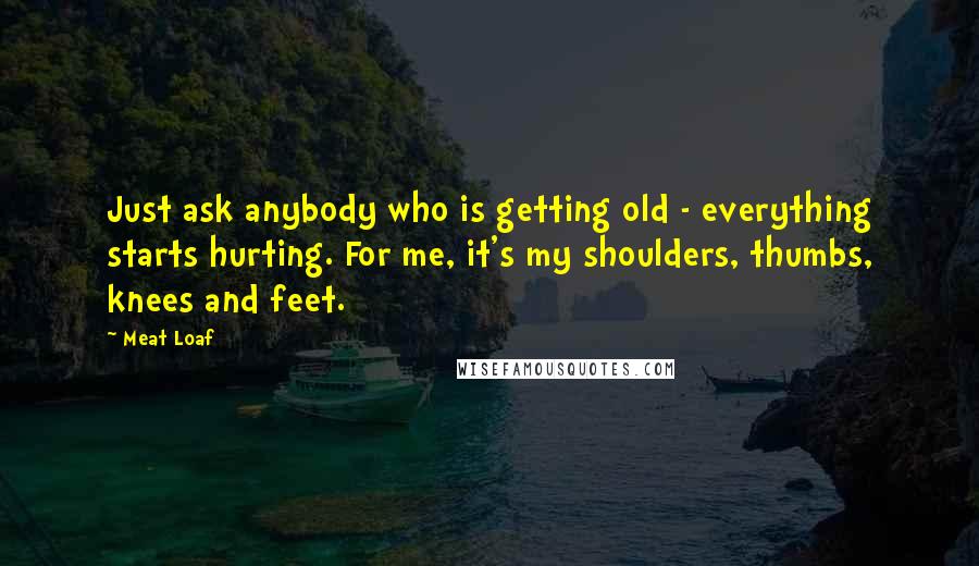 Meat Loaf Quotes: Just ask anybody who is getting old - everything starts hurting. For me, it's my shoulders, thumbs, knees and feet.