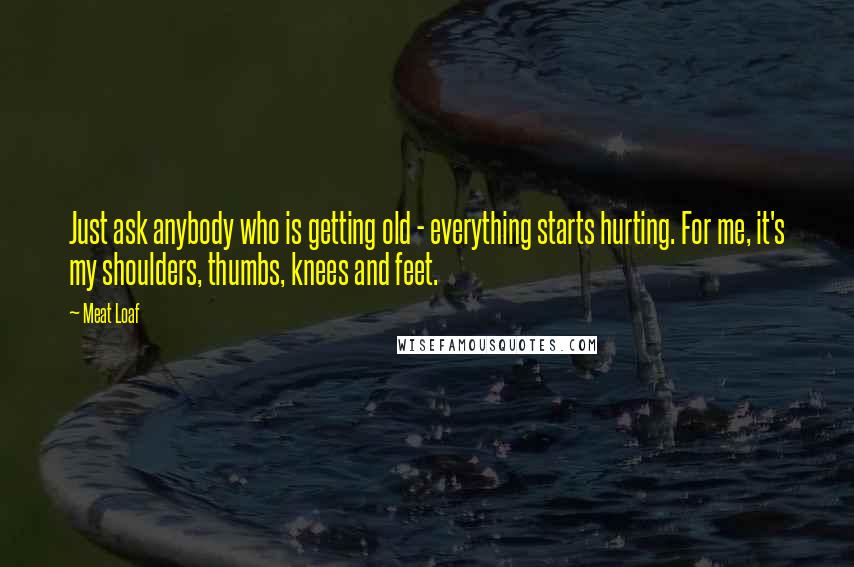 Meat Loaf Quotes: Just ask anybody who is getting old - everything starts hurting. For me, it's my shoulders, thumbs, knees and feet.