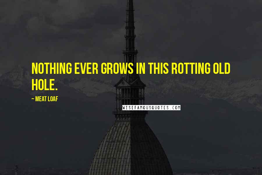 Meat Loaf Quotes: Nothing ever grows in this rotting old hole.