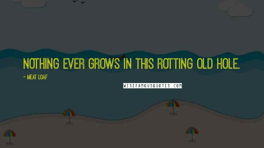 Meat Loaf Quotes: Nothing ever grows in this rotting old hole.