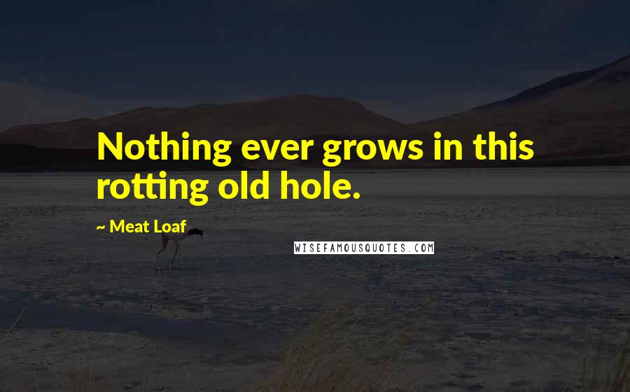 Meat Loaf Quotes: Nothing ever grows in this rotting old hole.