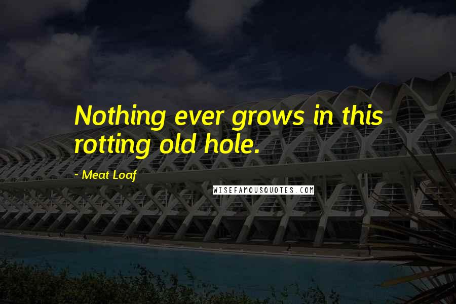 Meat Loaf Quotes: Nothing ever grows in this rotting old hole.