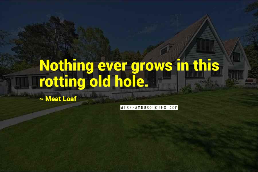 Meat Loaf Quotes: Nothing ever grows in this rotting old hole.