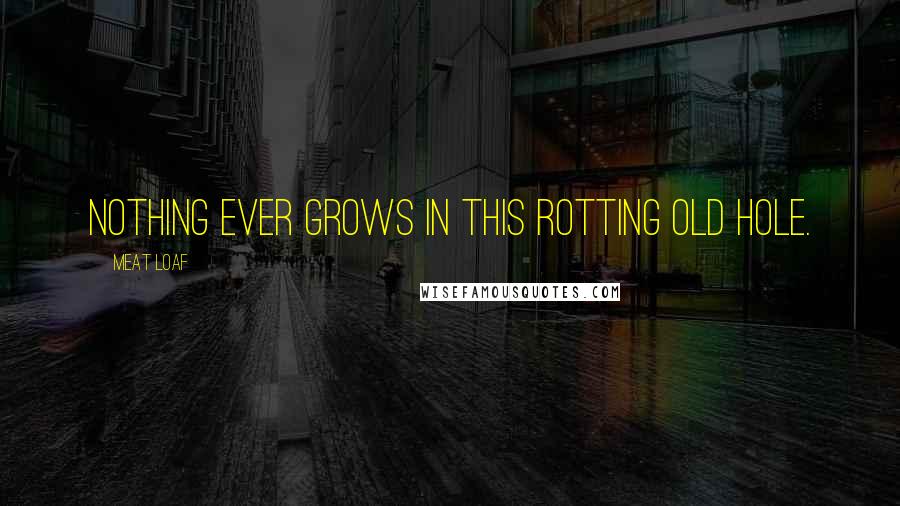 Meat Loaf Quotes: Nothing ever grows in this rotting old hole.