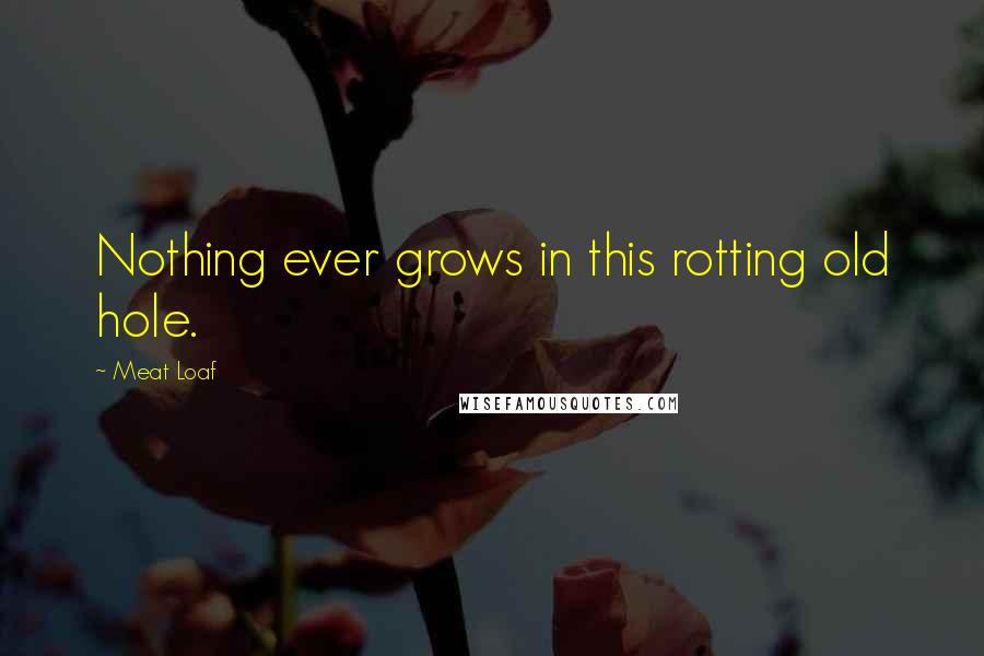 Meat Loaf Quotes: Nothing ever grows in this rotting old hole.