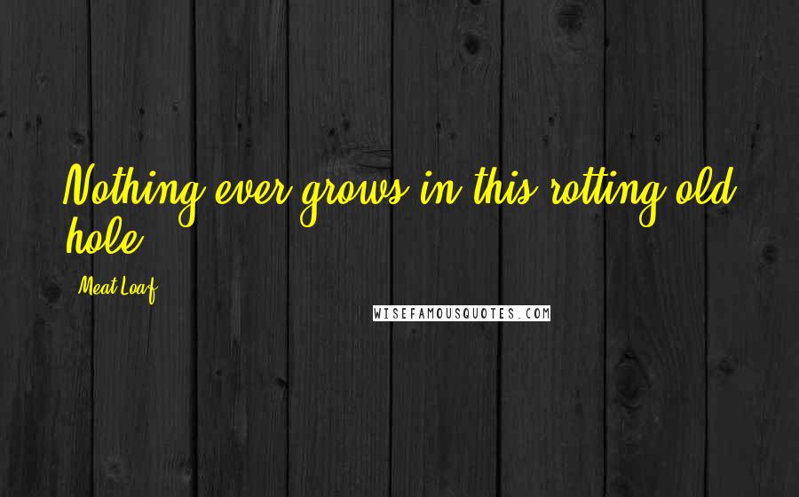 Meat Loaf Quotes: Nothing ever grows in this rotting old hole.