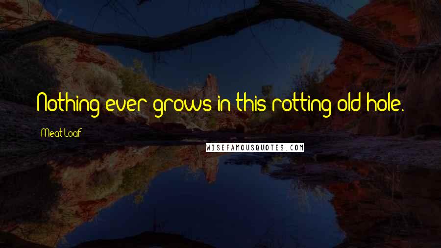Meat Loaf Quotes: Nothing ever grows in this rotting old hole.