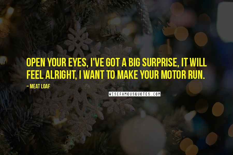 Meat Loaf Quotes: Open your eyes, I've got a big surprise, it will feel alright, I want to make your motor run.