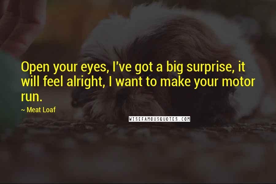 Meat Loaf Quotes: Open your eyes, I've got a big surprise, it will feel alright, I want to make your motor run.