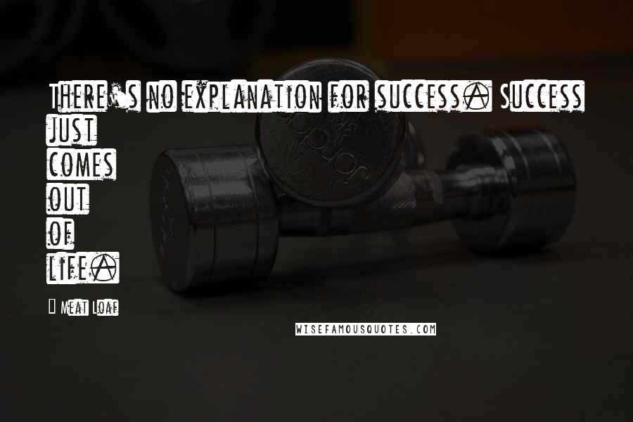 Meat Loaf Quotes: There's no explanation for success. Success just comes out of life.