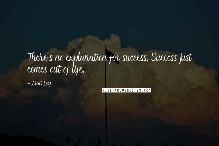 Meat Loaf Quotes: There's no explanation for success. Success just comes out of life.