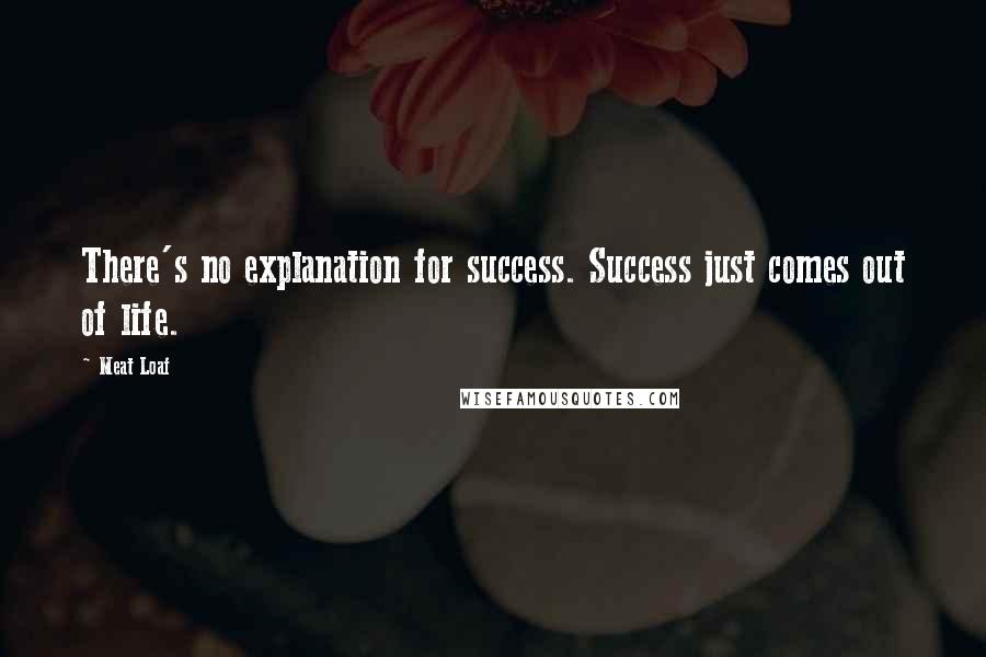 Meat Loaf Quotes: There's no explanation for success. Success just comes out of life.