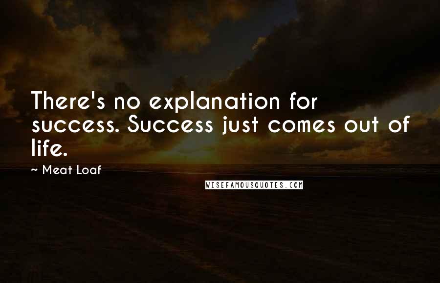 Meat Loaf Quotes: There's no explanation for success. Success just comes out of life.