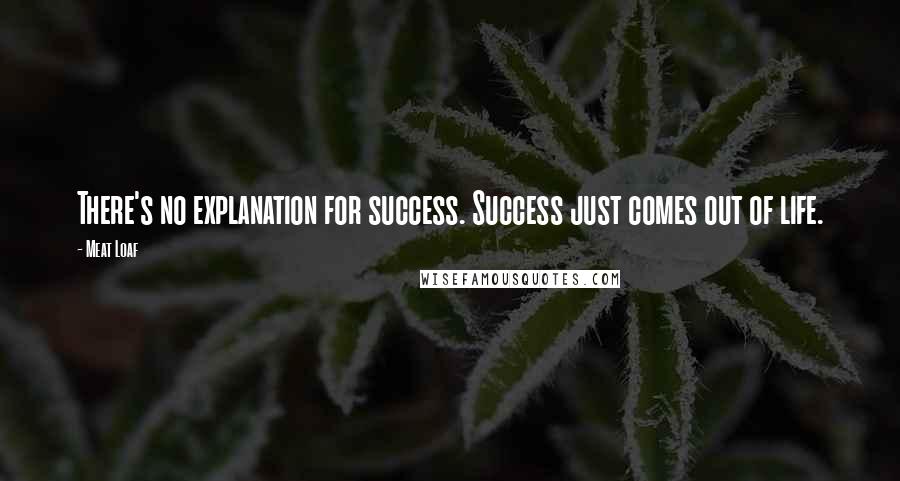 Meat Loaf Quotes: There's no explanation for success. Success just comes out of life.