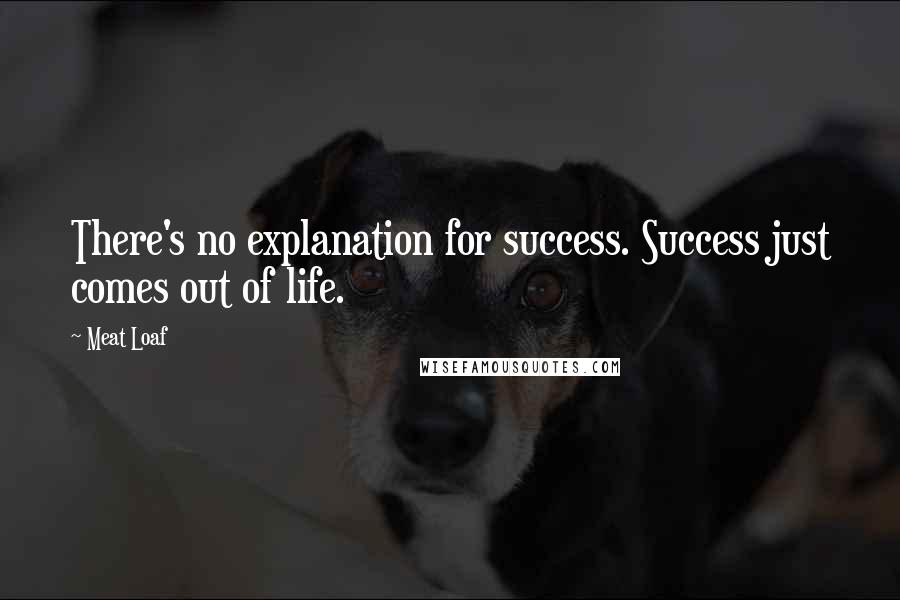 Meat Loaf Quotes: There's no explanation for success. Success just comes out of life.