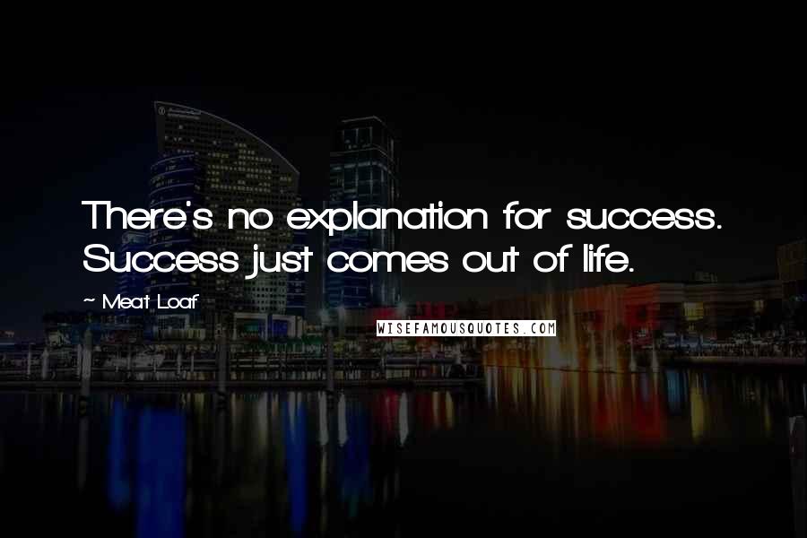 Meat Loaf Quotes: There's no explanation for success. Success just comes out of life.