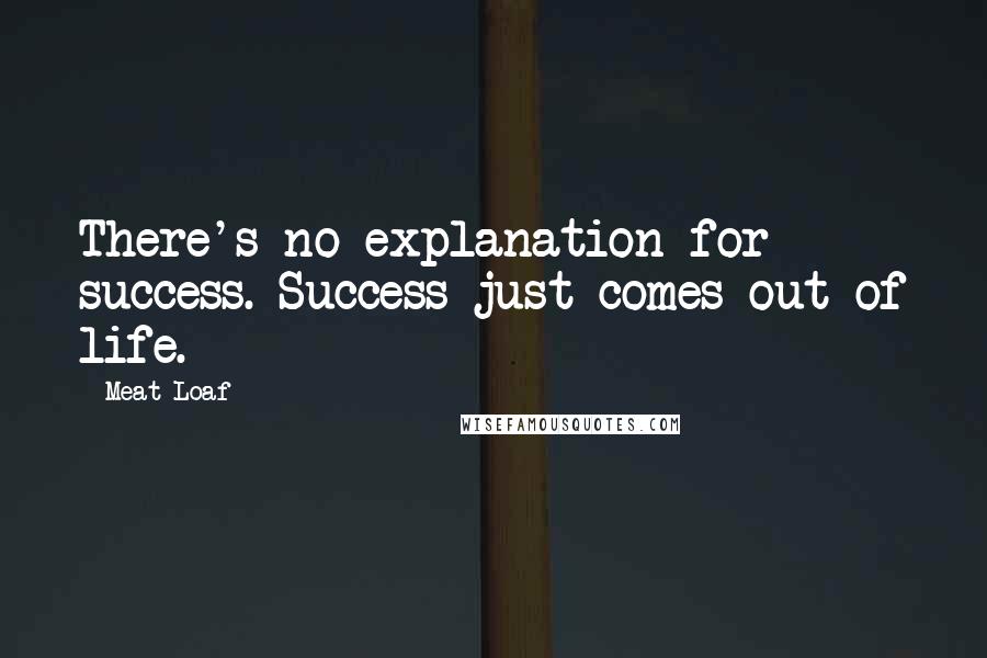 Meat Loaf Quotes: There's no explanation for success. Success just comes out of life.