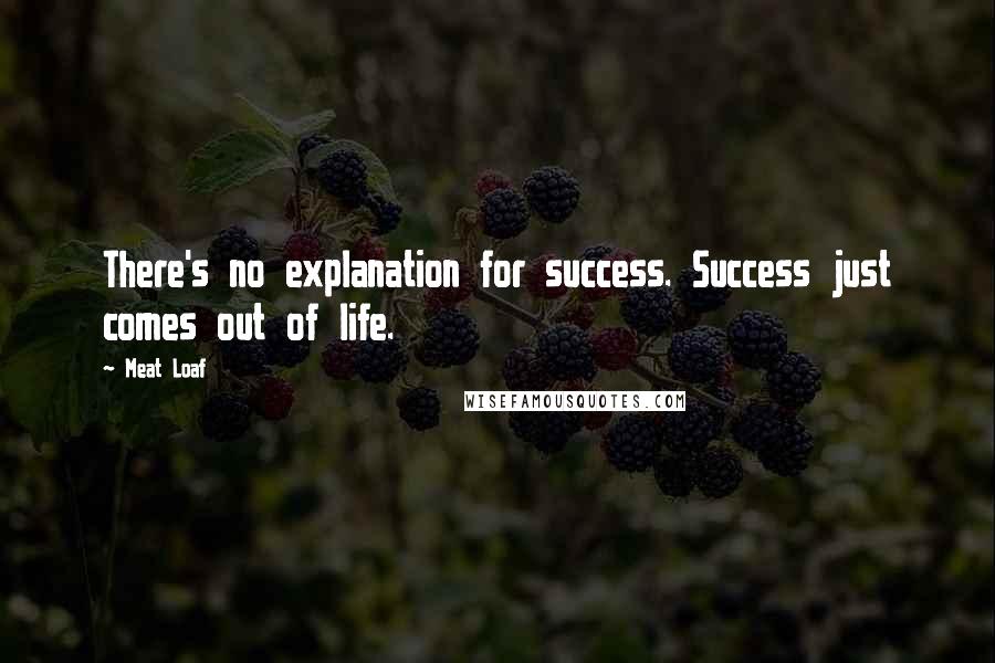 Meat Loaf Quotes: There's no explanation for success. Success just comes out of life.