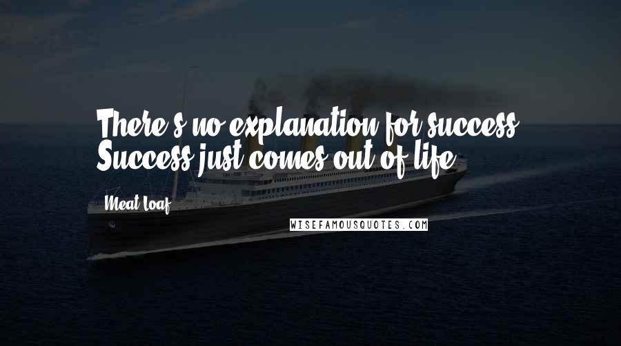 Meat Loaf Quotes: There's no explanation for success. Success just comes out of life.