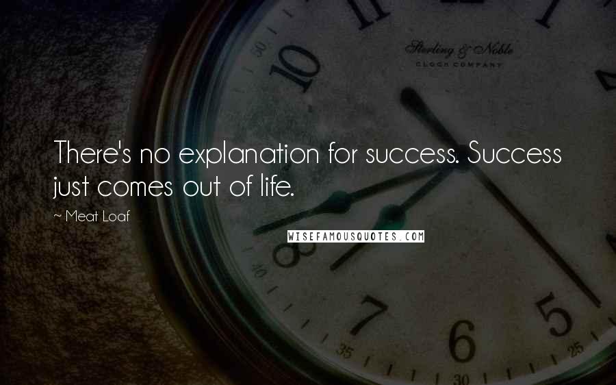Meat Loaf Quotes: There's no explanation for success. Success just comes out of life.