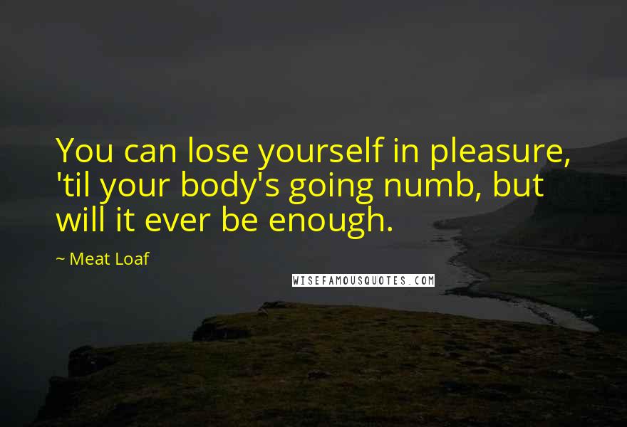 Meat Loaf Quotes: You can lose yourself in pleasure, 'til your body's going numb, but will it ever be enough.