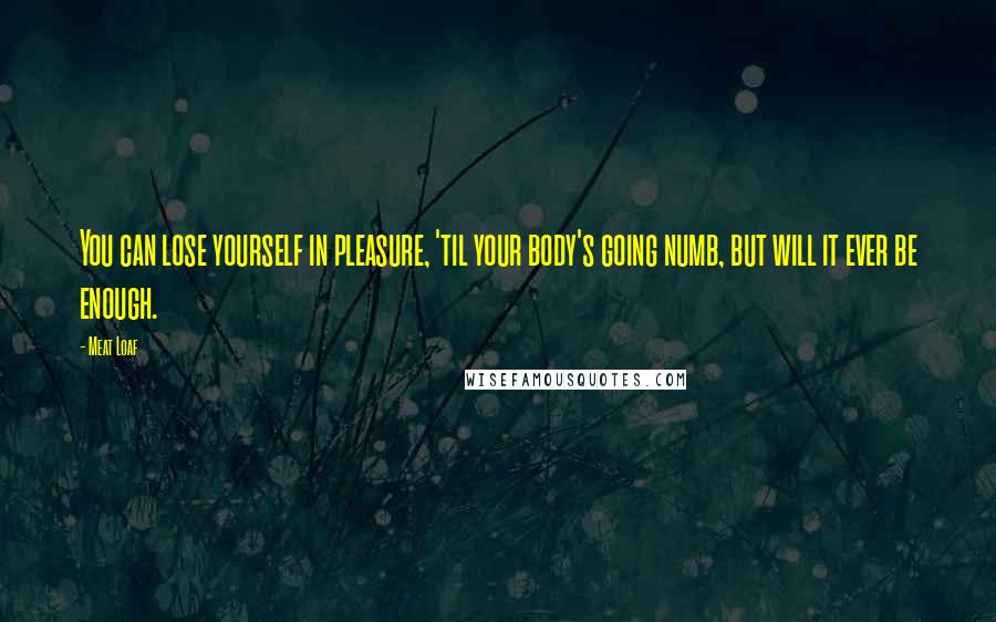 Meat Loaf Quotes: You can lose yourself in pleasure, 'til your body's going numb, but will it ever be enough.