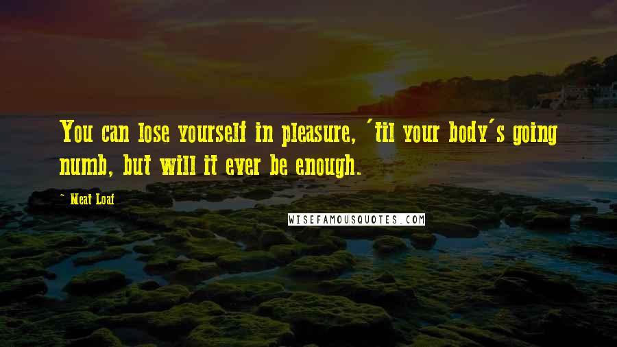 Meat Loaf Quotes: You can lose yourself in pleasure, 'til your body's going numb, but will it ever be enough.