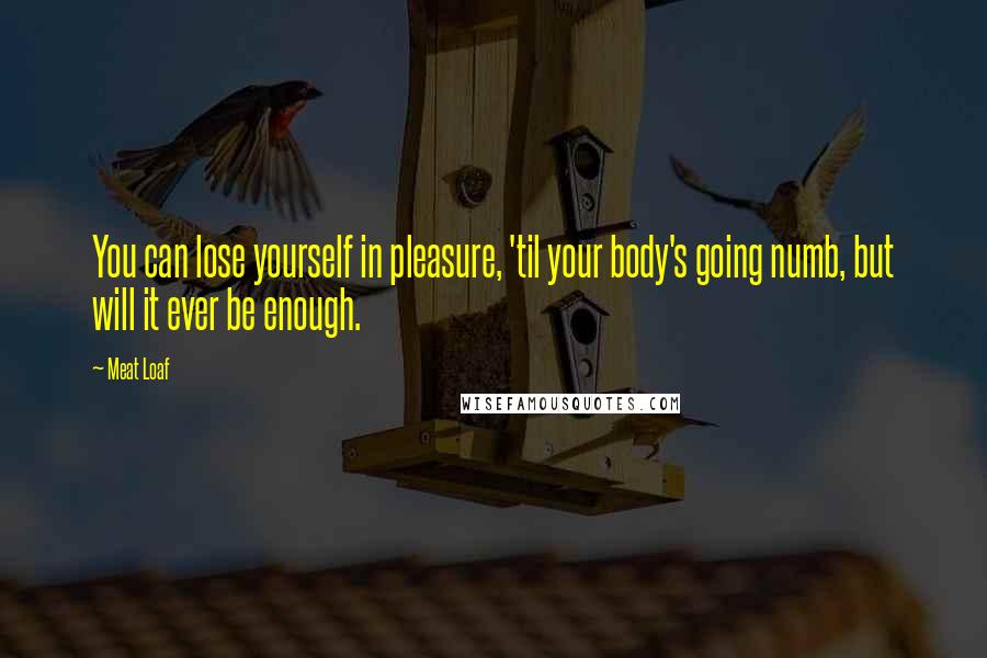 Meat Loaf Quotes: You can lose yourself in pleasure, 'til your body's going numb, but will it ever be enough.