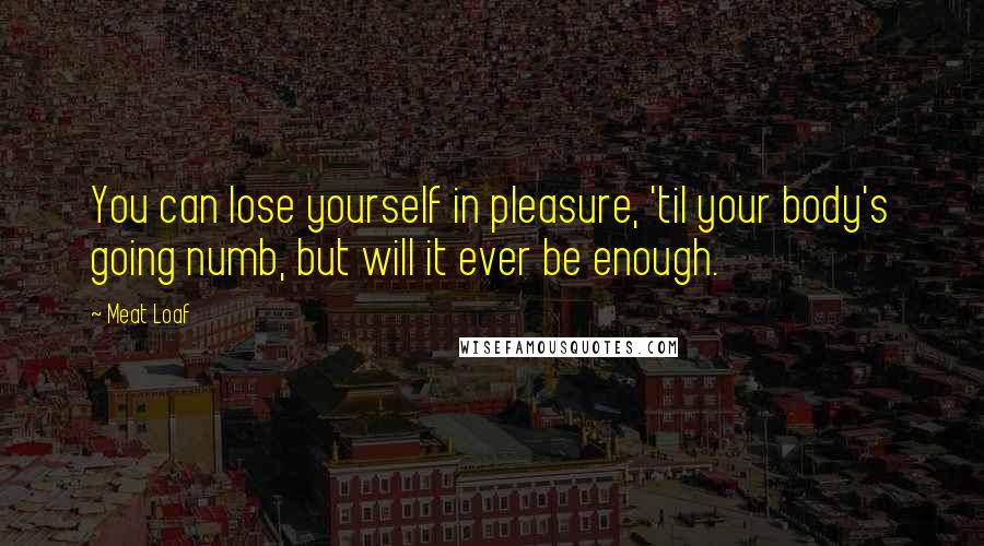 Meat Loaf Quotes: You can lose yourself in pleasure, 'til your body's going numb, but will it ever be enough.