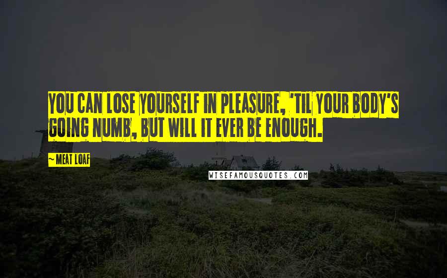 Meat Loaf Quotes: You can lose yourself in pleasure, 'til your body's going numb, but will it ever be enough.