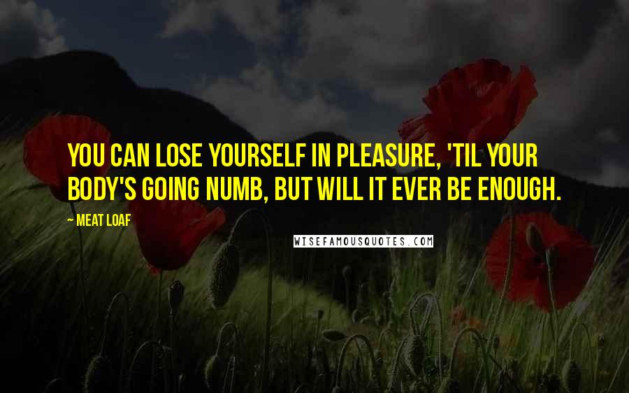 Meat Loaf Quotes: You can lose yourself in pleasure, 'til your body's going numb, but will it ever be enough.