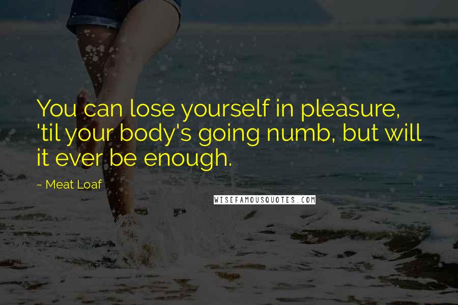 Meat Loaf Quotes: You can lose yourself in pleasure, 'til your body's going numb, but will it ever be enough.