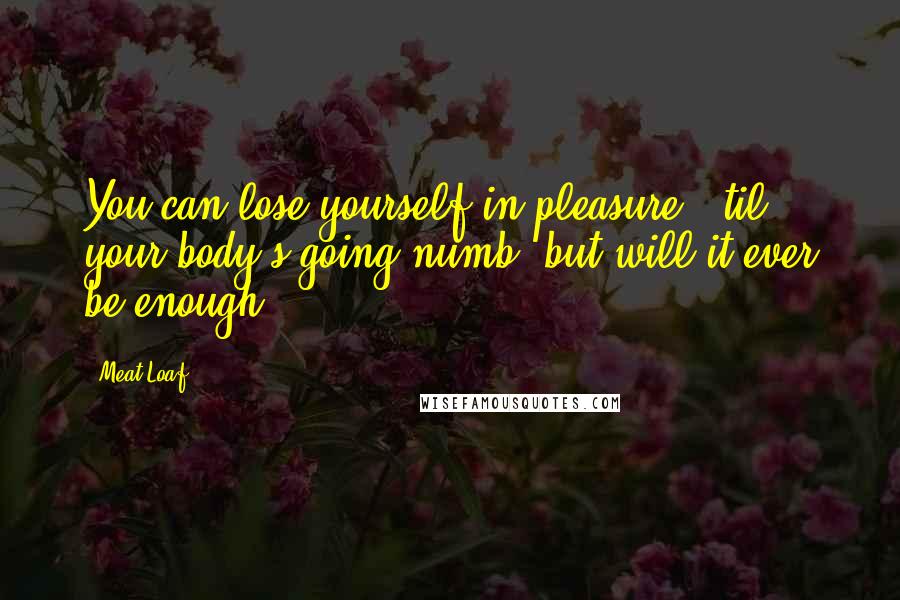 Meat Loaf Quotes: You can lose yourself in pleasure, 'til your body's going numb, but will it ever be enough.